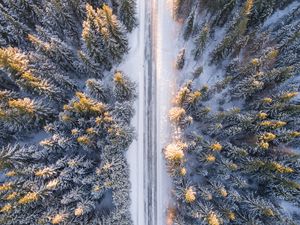 Превью обои деревья, вид сверху, дорога, зима