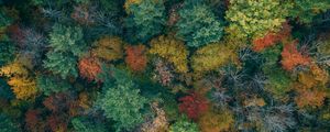 Превью обои деревья, вид сверху, осень, краски осени, лес, красочный