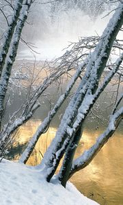 Превью обои деревья, вода, река, снег, берег, наклон