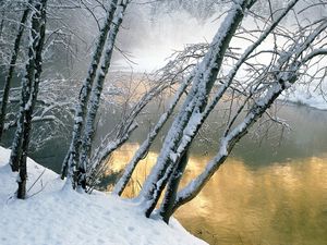 Превью обои деревья, вода, река, снег, берег, наклон