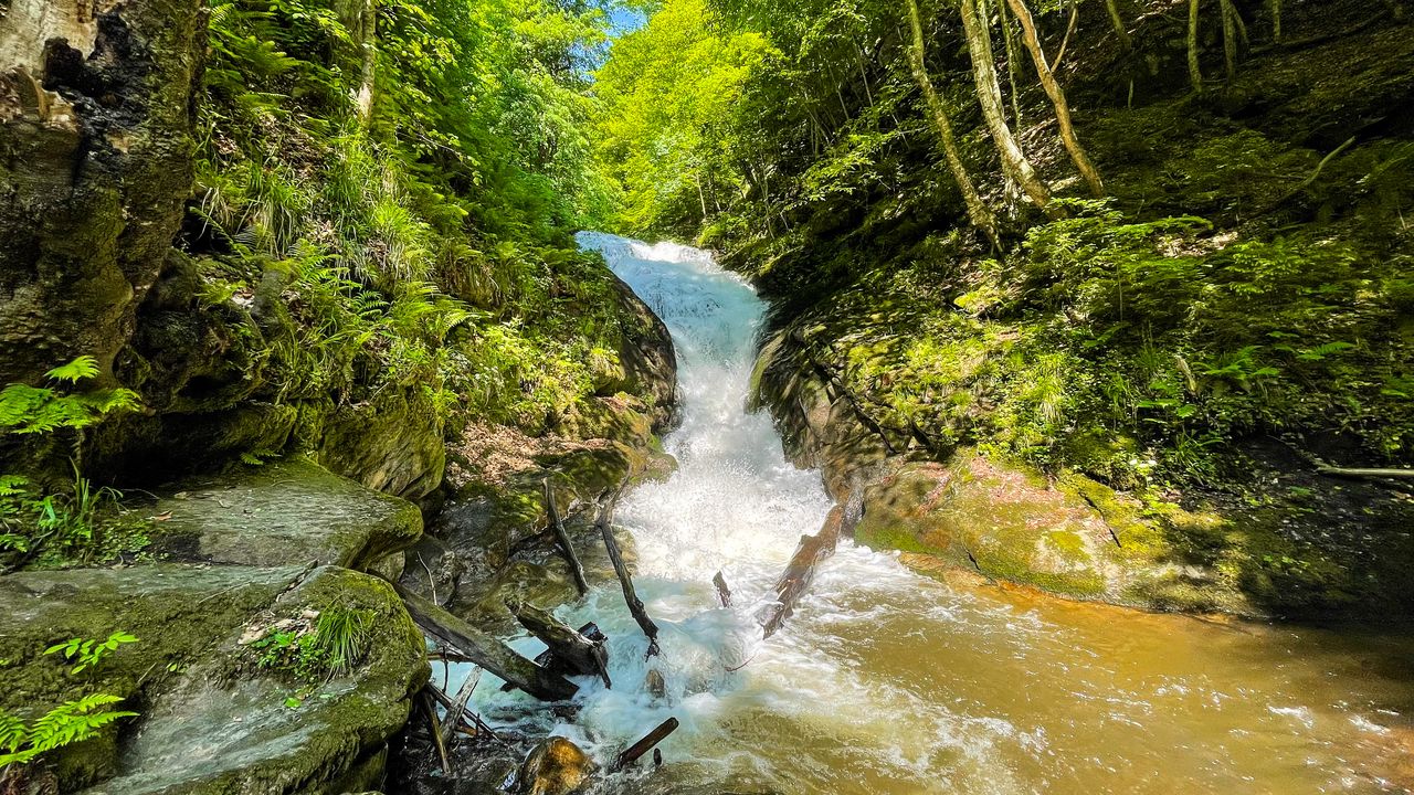Обои деревья, водопад, камни, природа