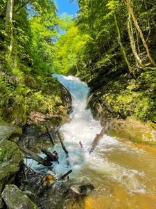 Превью обои деревья, водопад, камни, природа