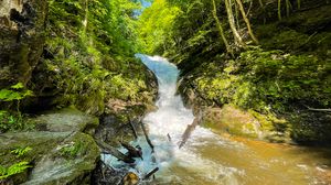 Превью обои деревья, водопад, камни, природа