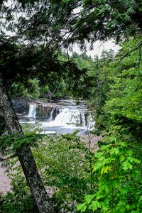 Превью обои деревья, водопад, пейзаж, природа