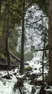 Превью обои деревья, водопад, поток, брызги