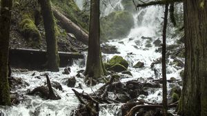 Превью обои деревья, водопад, поток, брызги