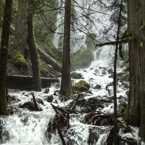 Превью обои деревья, водопад, поток, брызги