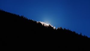 Превью обои деревья, возвышенность, свет, небо, линия