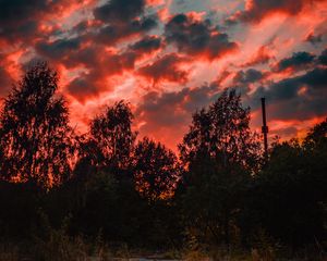 Превью обои деревья, закат, небо, облака, осень, вечер