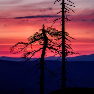 Превью обои деревья, закат, силуэты, небо, темный