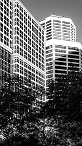 Превью обои деревья, здания, окна, город, чб