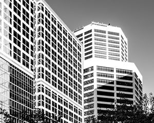 Превью обои деревья, здания, окна, город, чб