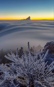 Превью обои деревья, зима, мороз, снег, облака