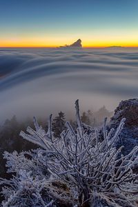 Превью обои деревья, зима, мороз, снег, облака