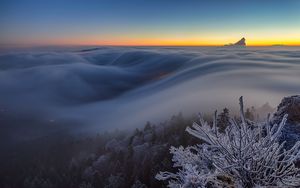 Превью обои деревья, зима, мороз, снег, облака