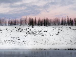 Превью обои деревья, зима, снег, возвышенность, заснеженный