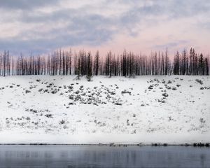 Превью обои деревья, зима, снег, возвышенность, заснеженный