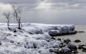 Превью обои деревья, зима, снег, природа