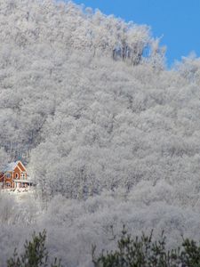 Превью обои деревья, зима, снег, дом, свет