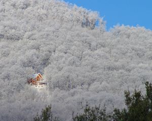 Превью обои деревья, зима, снег, дом, свет