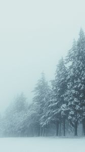Превью обои деревья, зима, туман, снег