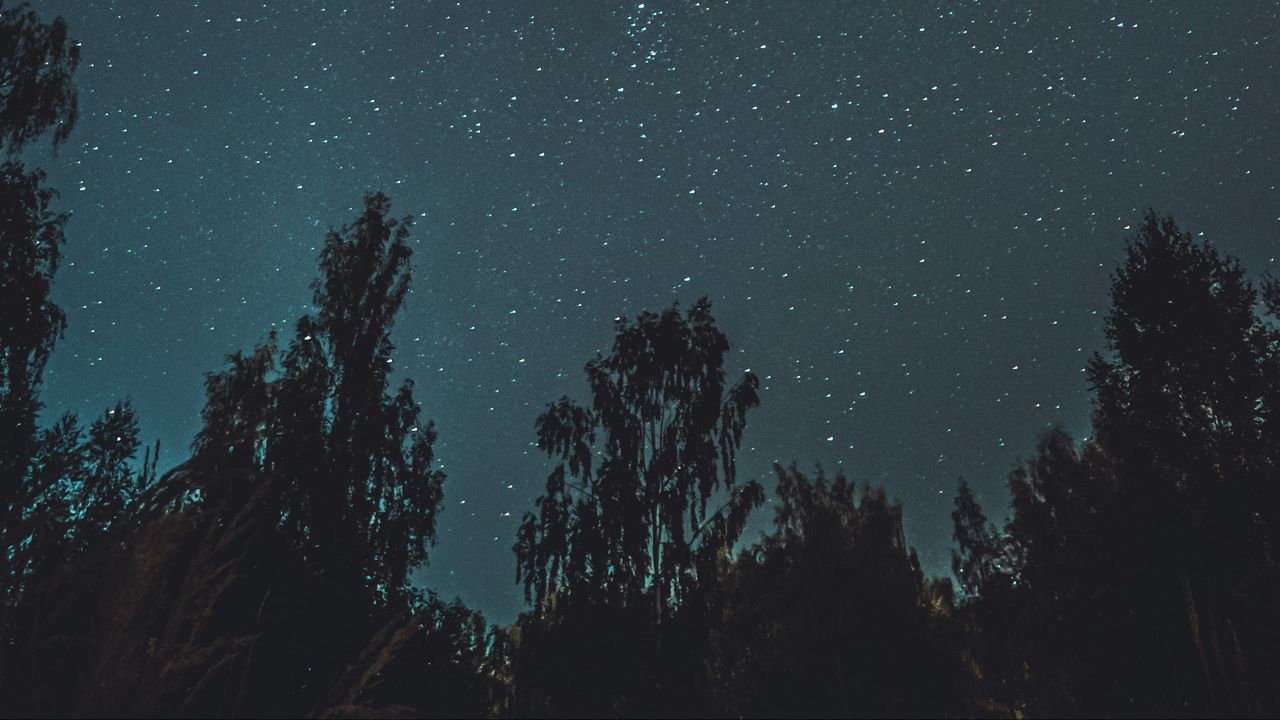 Обои деревья, звездное небо, ночь, темный