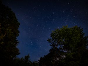 Превью обои деревья, звездное небо, звезды, ночь, темный, долгая выдержка