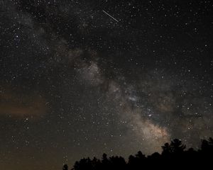 Превью обои деревья, звездное небо, звезды, ночь, силуэты