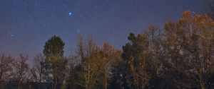 Превью обои деревья, звезды, небо, ночь