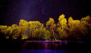 Превью обои деревья, звезды, озеро, ночь, фиолетовый