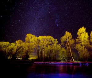 Превью обои деревья, звезды, озеро, ночь, фиолетовый