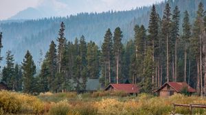 Превью обои деревня, домики, лес, пейзаж, природа