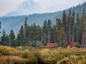 Превью обои деревня, домики, лес, пейзаж, природа