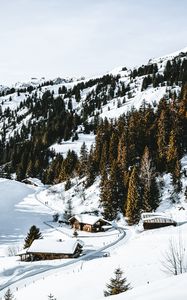 Превью обои деревня, лес, снег, заснеженный, горы