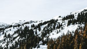 Превью обои деревня, лес, снег, заснеженный, горы