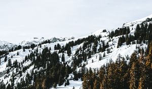 Превью обои деревня, лес, снег, заснеженный, горы