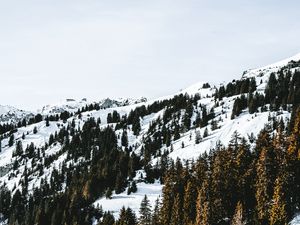 Превью обои деревня, лес, снег, заснеженный, горы