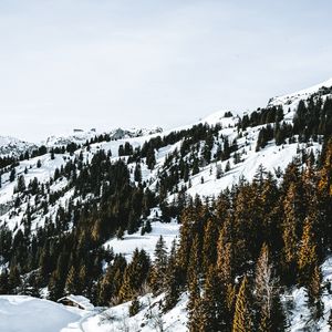 Превью обои деревня, лес, снег, заснеженный, горы