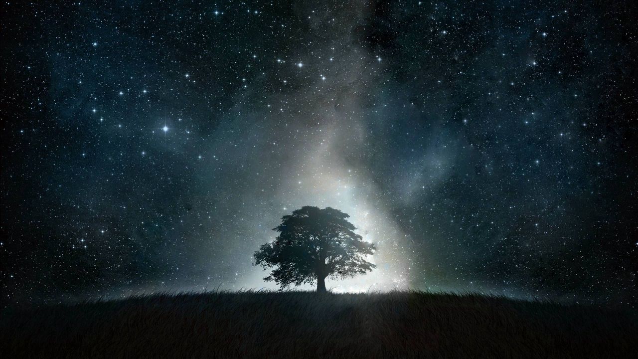 Обои дерево, абстракция, свет, ночь