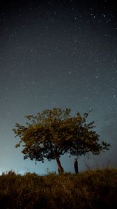 Превью обои дерево, человек, ночь, звездное небо, темный