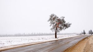 Превью обои дерево, дорога, одинокое, снег, грязь