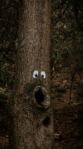 Превью обои дерево, глаза, ствол, кора, забавно, юмор