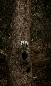 Превью обои дерево, глаза, ствол, кора, забавно, юмор