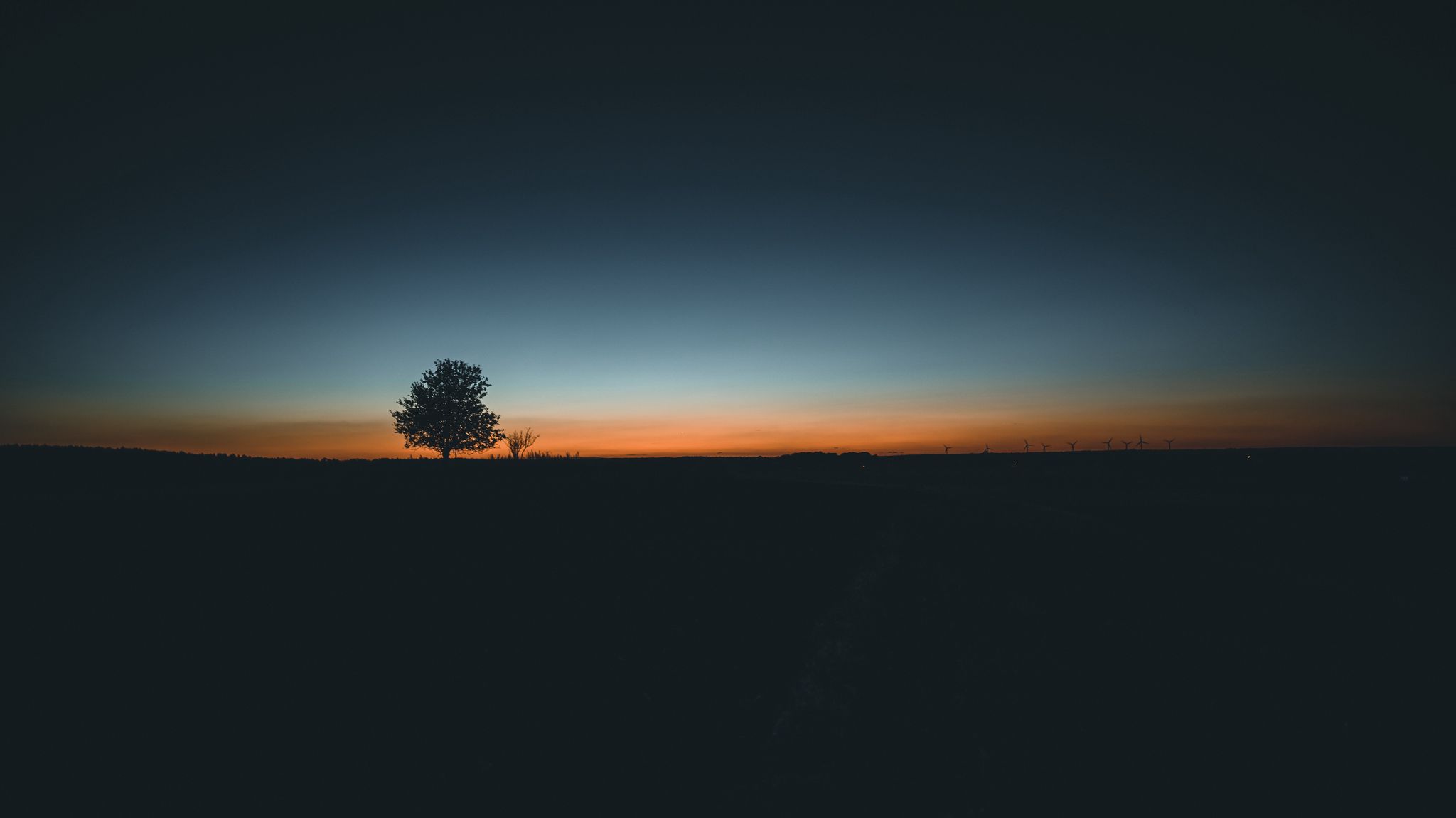 2048x1152 Обои дерево, горизонт, минимализм, закат