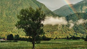Превью обои дерево, горы, лес, радуга