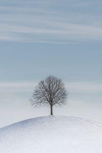 Превью обои дерево, холм, снег, зима, минимализм