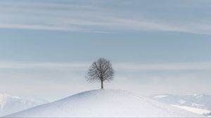 Превью обои дерево, холм, снег, зима, минимализм