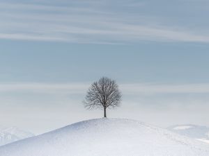 Превью обои дерево, холм, снег, зима, минимализм