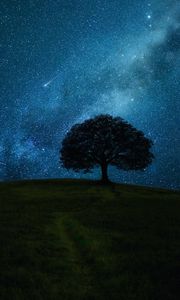 Превью обои дерево, холм, звездное небо, звезды, ночь, темный