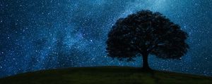 Превью обои дерево, холм, звездное небо, звезды, ночь, темный